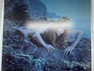 Roxy Music 5th Album Siren UK Vinyl LP 1975 Island Records ILPS 9344