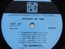 Original Press NZ LP The Underdogs - Wasting My time Ex+ (Space Farm)