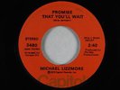 Crossover Soul 45 - Michael Lizzmore - Promise That You'll Wait - Capitol - VG+