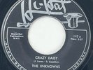 THE UNKNOWNS Crazy Daisy Hi-Hat Rockabilly Doo Wop 45 HEAR