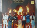 LYNYRD SKYNYRD STREET SURVIVORS w Flames 1977 Vinyl LP SEALED 1st Press MCA 3029