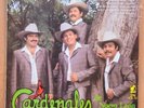 los cardenales de nuevo leon