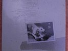 Fleetwood Mac--SEALED--Tusk---1979 Warner Bros---2HS 3350