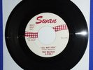 Beatles SWAN LABEL 45 RPM I'll Get You Sie Liebt Dich GERMAN WHITE LABEL COPY