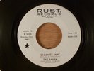 The Raven  Calamity Jane/Now She's Gone  Promo RARE  Fuzz Garage, Psych