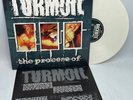 Turmoil The Process Of 2021 Limited Edition White Colored Vinyl LP Hardcore VG+