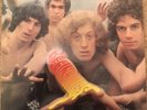 Ambrose Slade Beginnings Vinyl LP
