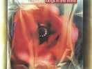 Love and Money | Red Vinyl LP | Dogs In The Traffic | Last Night