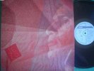 CAETANO VELOSO | VELO | BRAZIL | LP | 1984 | PHILIPS 824024 | NM EX