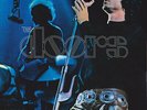 The Doors - Absolutely Live (2xLP, Album, RE, RM, 180) (Mint (M))