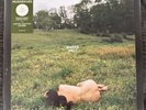 Kacey Musgraves - Deeper Well Transparent Cream Vinyl LP - Nude Cover IN HAND