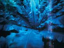 Hum - Downward Is Heavenward - LP