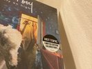 Fall Out Boy IOH and FUTCT Limited Edition Vinyl Record Albums