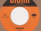 Moses Smith Try My Love  Dionn 1401 Soul Northern Motown