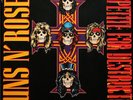 Guns N' Roses Appetite For Destruction Vinyl Record VG+/VG+