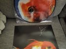 Vince Staples Big Fish Theory Picture Disc Vinyl 2LP With SIGNED Insert