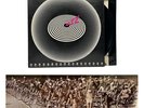 Queen - Jazz - 1978 US 1st Press + Naked Bike Poster (EX/NM) Ultrasonic Clean