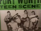 Various – Fort Worth Teen Scene  Volume Three  NM  Vinyl LP83