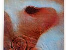 PINK FLOYD MEDDLE TOSHIBA EMS80322 JAPAN VINYL LP