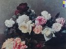 New Order 