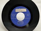 **The Hollywoods**  Garage Band - 45 TIMBER 106 - Portsmouth Ohio 1964