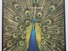 The Bluetones - Expecting To Fly 1996 12