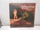 BIG SLEEP - BLUEBELL WOOD - UK - 1st PRESS - PEGASUS - EYES OF BLUE