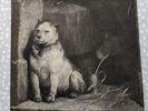 Pavlov's Dog – Pampered Menial - US Press Vinyl LP