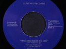 FLASH BAKK: we come here to jam / flash bakk theme SUNRYSE 7