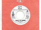 THE BEACH BOYS  Tears In The Morning / It's About Time  rare promo 45