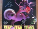 Yeah Yeah Yeahs - Mosquito (2013) VINYL NEW SIGNED