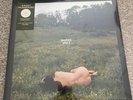 KACEY MUSGRAVES Deeper Well LP LIMITED Alternate Cover CREAM Color Vinyl