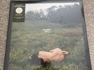 KACEY MUSGRAVES Deeper Well LP LIMITED Alternate Cover CREAM Color Vinyl