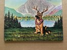 Little Feat - Hoy-Hoy  - Used Double LP w/Booklet - US 1981 WB 2BSK 3538 - NM/EX