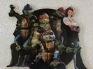 Partners In Kryme (Mutant Ninja Turtles) Turtle Power 7'' Picture Turtle PD 1