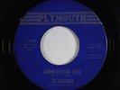 Garage Psych 45 - Ramrods - Bright Lit Blue Skies/Mister Wind - Plymouth