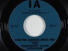 Garage Psych 45 - Thirteenth Floor Elevators - You're Gonna Miss Me - IA - VG++