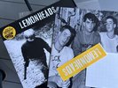 The Lemonheads Hate Your Friends COL. Vinyl Deluxe  12