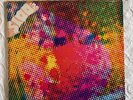 THE LITTER , rock PUNK GARAGE 60'S  , Minnesota TOP MASTERPIECE