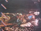 Curtis Mayfield - Give, Get, Take And Have (LP, Album)