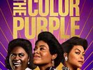 Various | Purple 3xVinyl LP | The Color Purple (Music From And