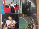 MASAYOSHI TAKANAKA Vinyl LP The Rainbow Goblins T-WAVE Super sélection...