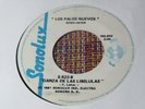 LEONELLO Y SUS PALOS NUEVOS DANZA DE LAS LIBELULAS CUMBIA FUNKY COLOMBIA PSYCH