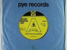 Psych Mod Beat 45 - Bobcats - Can't See For Looking - Pye UK
