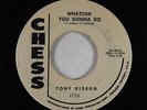 R&B Rocker 45 - Tony Gideon - Whatcha Gonna Do - Chess - VG++