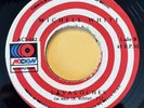 MICHELLE WHITE - Lavacoches / RARE DISCO FUNK BOOGIE 45 MEXICO Discos Accion