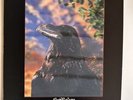 Stranglers The Raven 3d Cover Original Ltd Vinyl LP UA 1979
