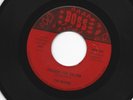 GARAGE bw/ INSTRO 45  - RAVENS - REACHING FOR THE SUN - HEAR  1966 FLORIDA BOSS