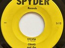 Craig And The Ethics Sylvia / Walking The Dog Rare Garage Rock Spyder Record 45