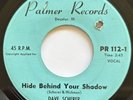Dave Scherer & The Castels Hide Behind Your Shadow R&B Surf Popcorn Palmer 45